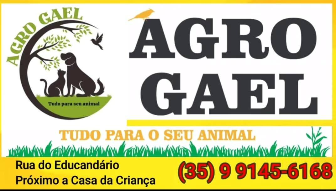 473561894 122110599014694267 3150931225526946618 n
