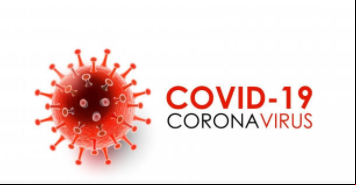covid 19 melhor das fotos